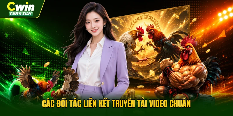 Các đối tác liên kết truyền tải video chuẩn